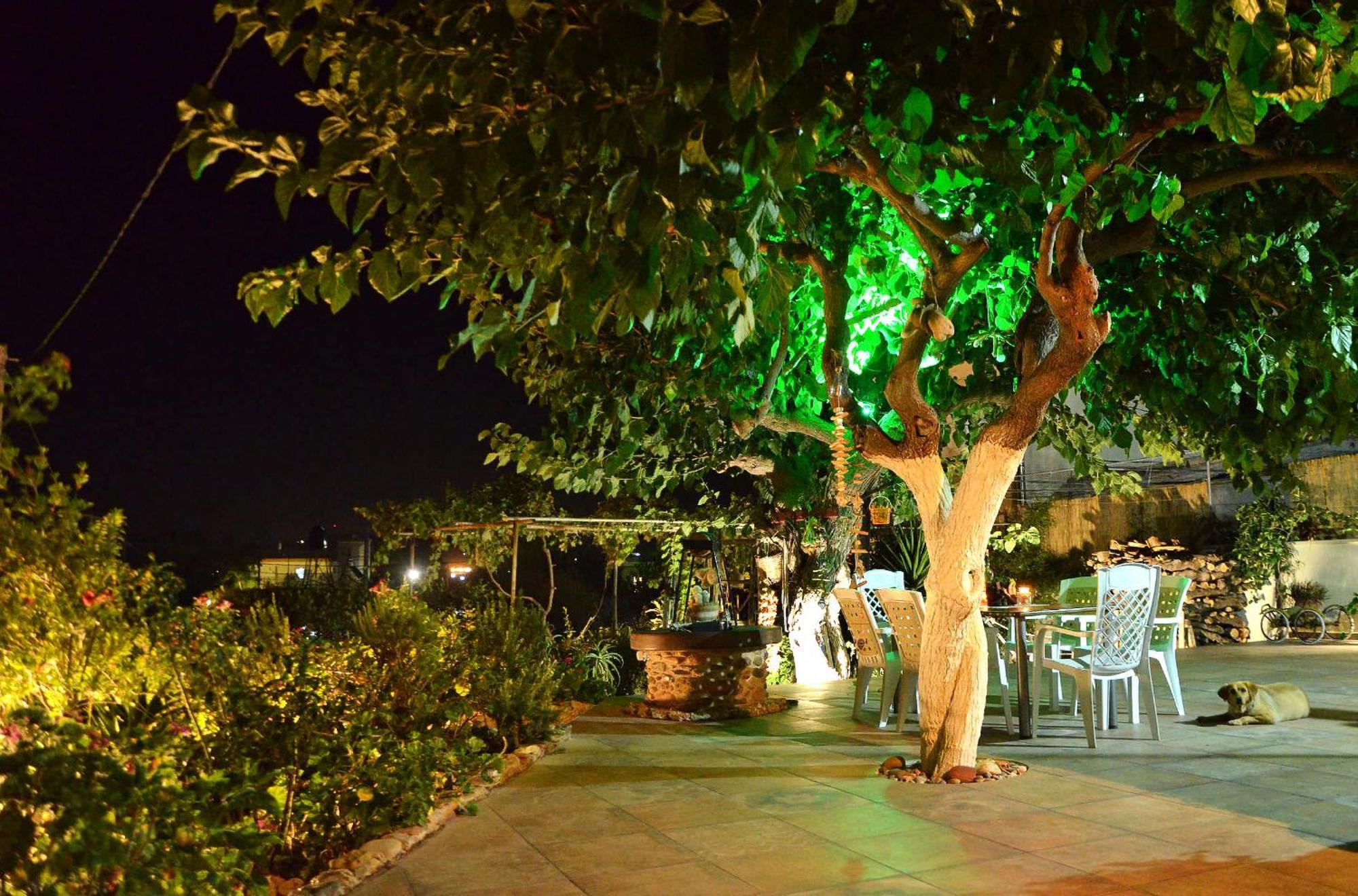 Kamara Stone House Villa Kíssamos Dış mekan fotoğraf