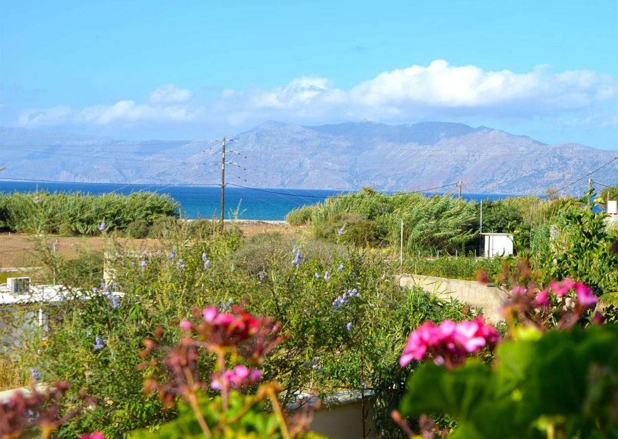 Kamara Stone House Villa Kíssamos Dış mekan fotoğraf